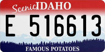 ID license plate E516613