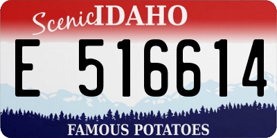ID license plate E516614
