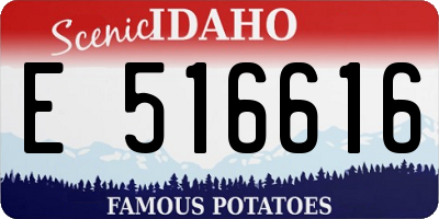 ID license plate E516616