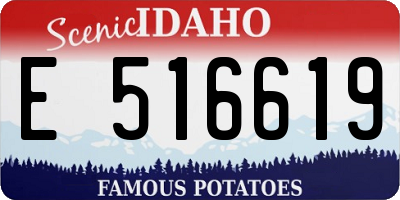 ID license plate E516619