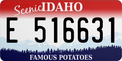 ID license plate E516631