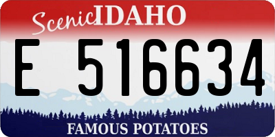 ID license plate E516634