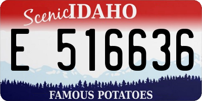 ID license plate E516636