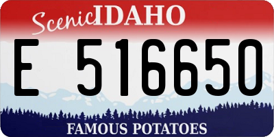 ID license plate E516650