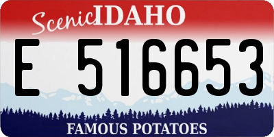 ID license plate E516653