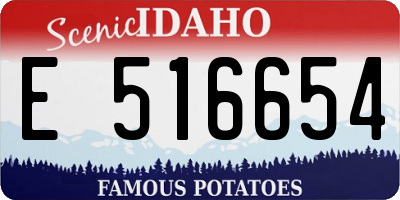 ID license plate E516654
