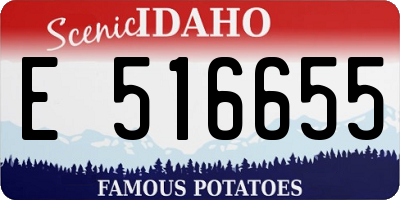ID license plate E516655