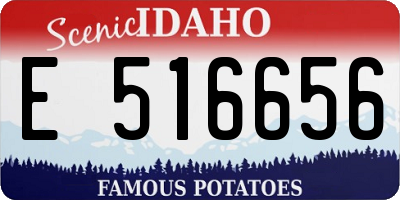 ID license plate E516656