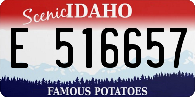 ID license plate E516657