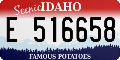 ID license plate E516658