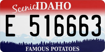ID license plate E516663