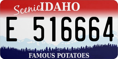 ID license plate E516664