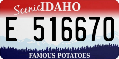 ID license plate E516670