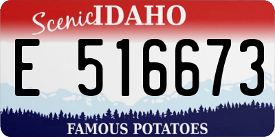 ID license plate E516673