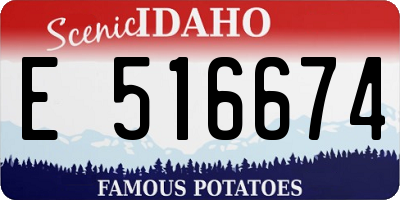 ID license plate E516674