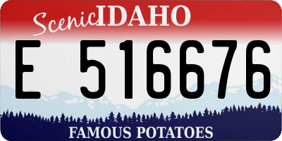 ID license plate E516676