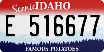 ID license plate E516677