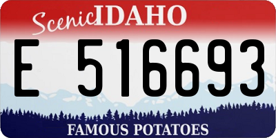 ID license plate E516693