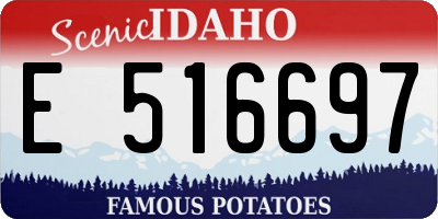 ID license plate E516697