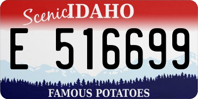 ID license plate E516699