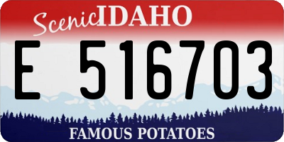 ID license plate E516703