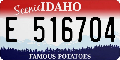 ID license plate E516704