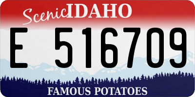 ID license plate E516709