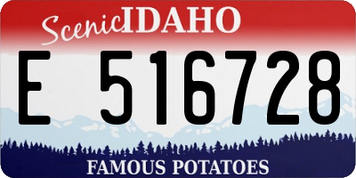 ID license plate E516728