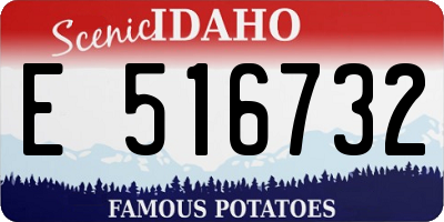 ID license plate E516732