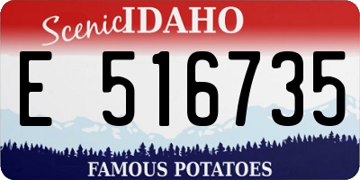 ID license plate E516735