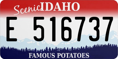 ID license plate E516737