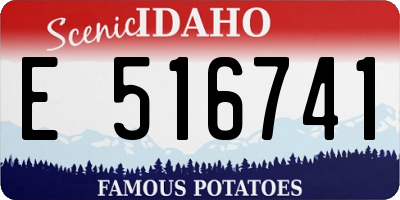 ID license plate E516741