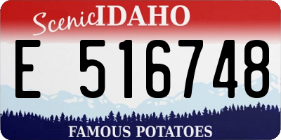 ID license plate E516748