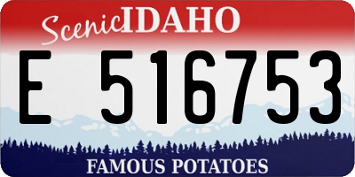 ID license plate E516753