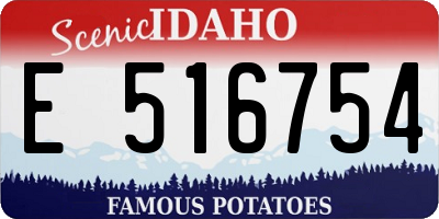 ID license plate E516754
