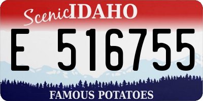 ID license plate E516755