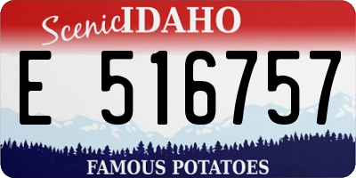 ID license plate E516757