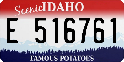ID license plate E516761
