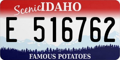 ID license plate E516762