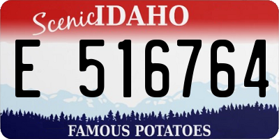 ID license plate E516764