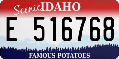 ID license plate E516768