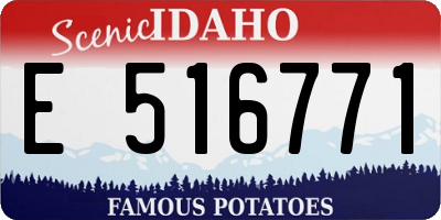 ID license plate E516771
