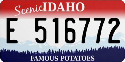 ID license plate E516772