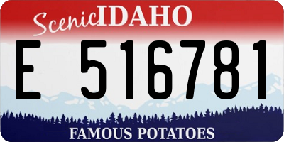 ID license plate E516781