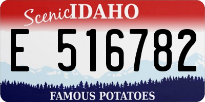ID license plate E516782