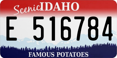 ID license plate E516784