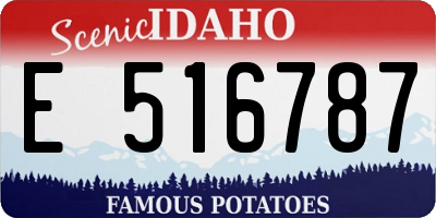 ID license plate E516787