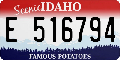 ID license plate E516794