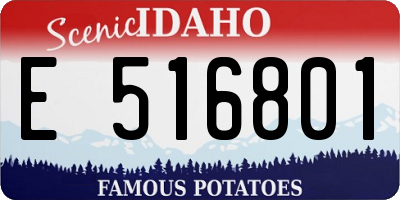 ID license plate E516801