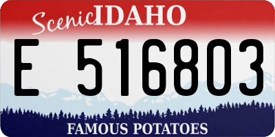 ID license plate E516803